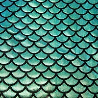 Wyla Green Oil Slick Fish Scales on Black Mesh