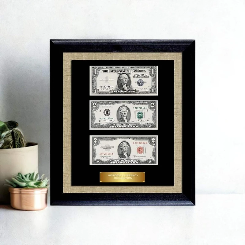 Historic Currency Collection in Currency Frame