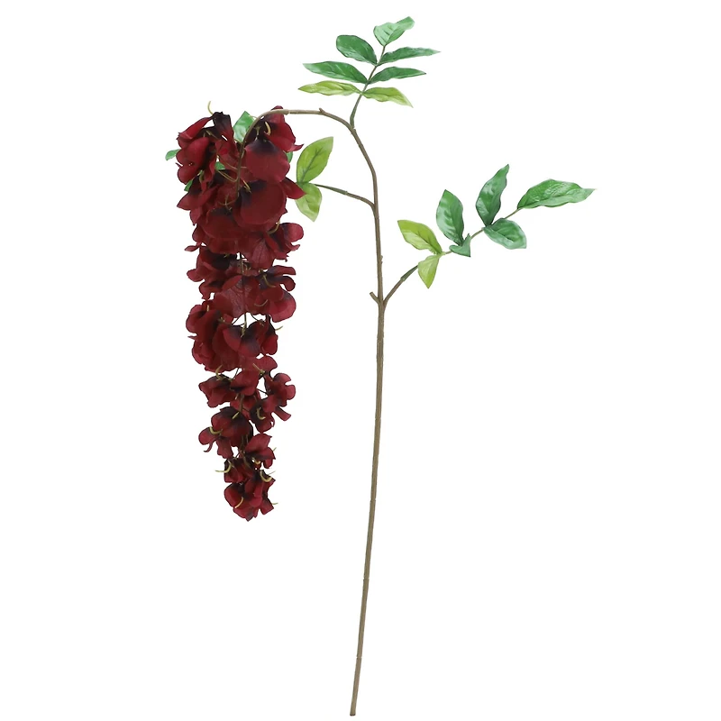 12 Pack: Burgundy Wisteria Stem by Ashland®