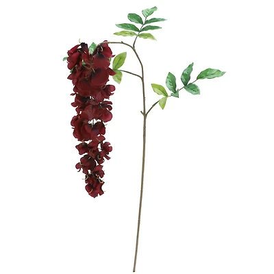 12 Pack: Burgundy Wisteria Stem by Ashland®