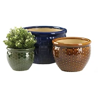 Designer Trio Ceramic Plant Set