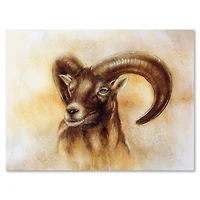 Designart - Portrait of Wild Ram With Mighty Horns I
