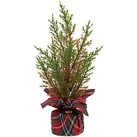 10" Unlit Cedar Artificial Christmas Tree Set