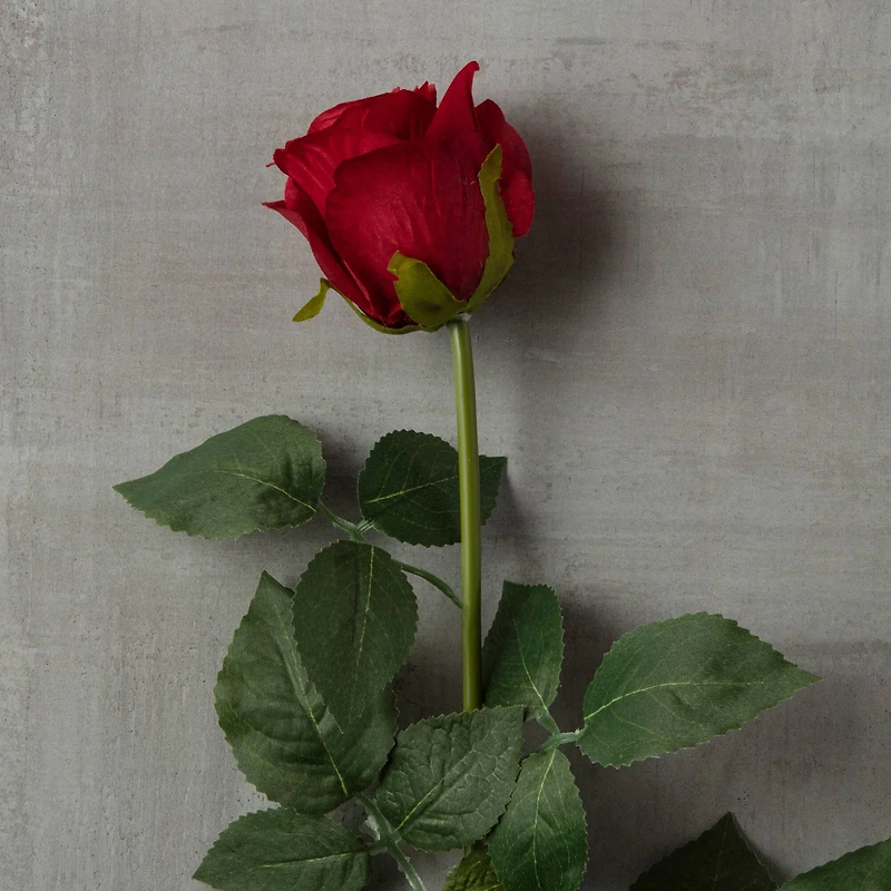 Red Dutch Rose Spray by Ashland®