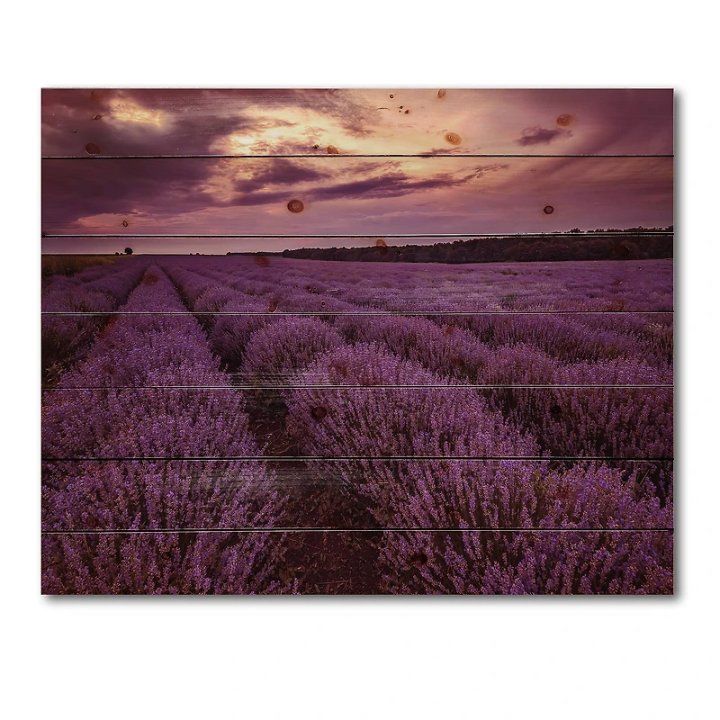 Designart - Sunrise & Dramatic Clouds Over Lavender Field III