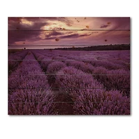 Designart - Sunrise & Dramatic Clouds Over Lavender Field III