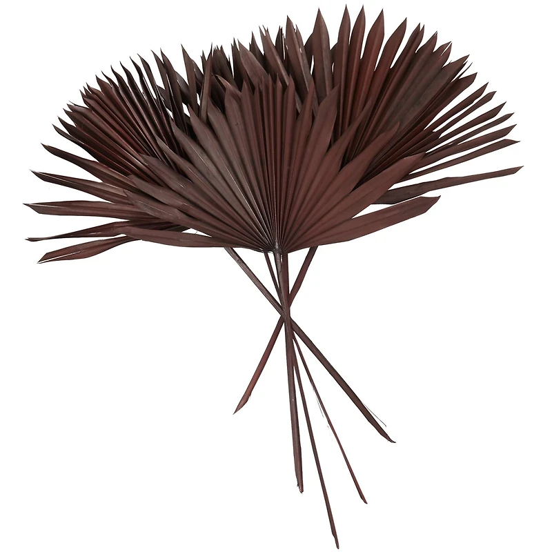 Dark Brown Sun Palm Spear Leaf Foliage Bundle