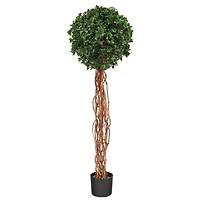 4.5ft. Potted English Ivy Ball Topiary Tree