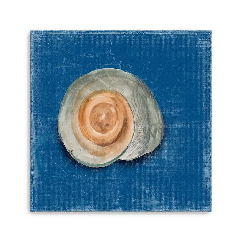 Rosecliff Shell III Canvas Giclee