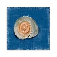 Rosecliff Shell III Canvas Giclee