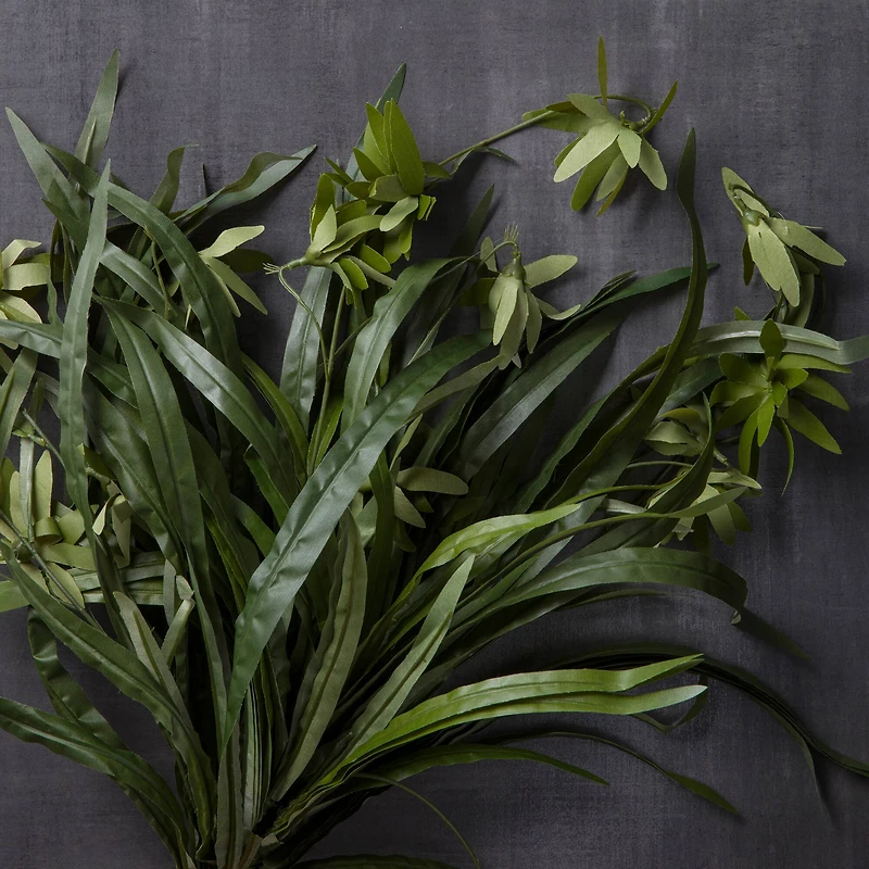 Green Spider Bush Classic Greenery Collection by Ashland®