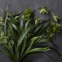 Green Spider Bush Classic Greenery Collection by Ashland®