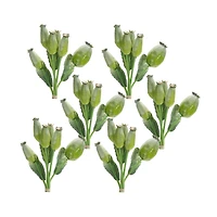 9.5" Green Poppy Pod Foliage Bundles, 6ct.