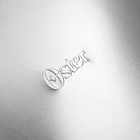 Oster 17" Baker's Glee Aluminum Roaster Pan