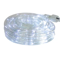 White LED Flexible Christmas Rope Light - 96'