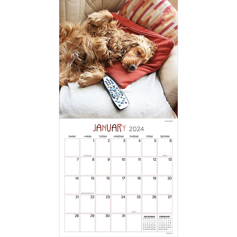 TF Publishing 2024 Dog Dreams Wall Calendar
