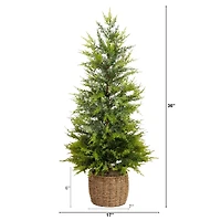3ft. Pre-Lit Artificial Lightly Snowed Cypress Christmas Tree with 38 Warm White LED Lights in Decorative Weaved Basket