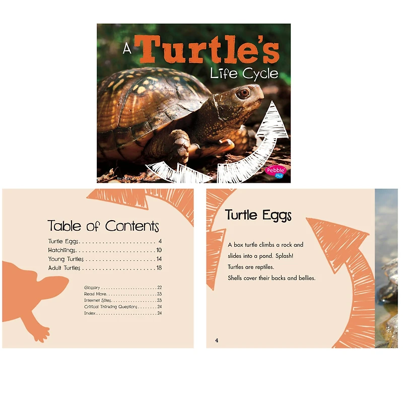 Pebble Plus Explore Life Cycles Set