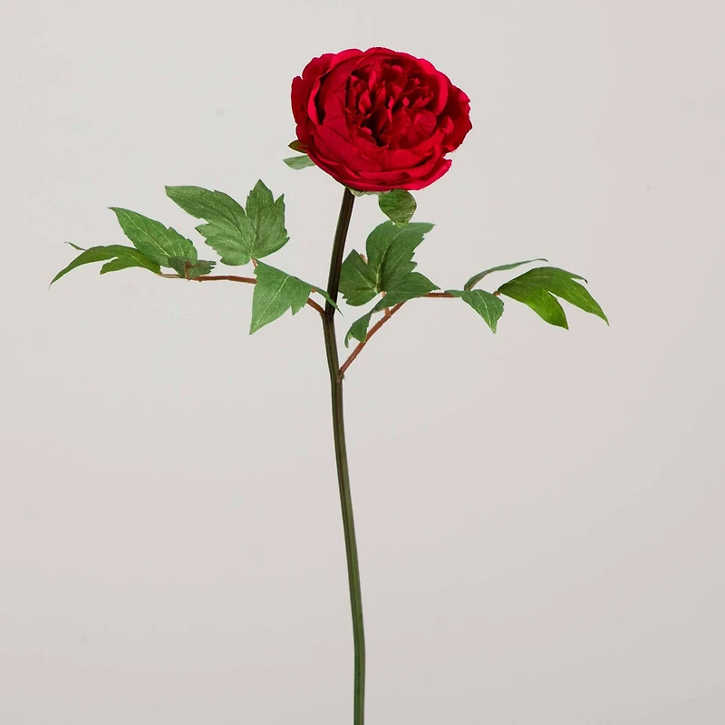 20" Red Peony Flower Stems, 3ct.