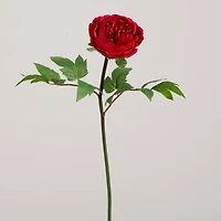 20" Red Peony Flower Stems, 3ct.