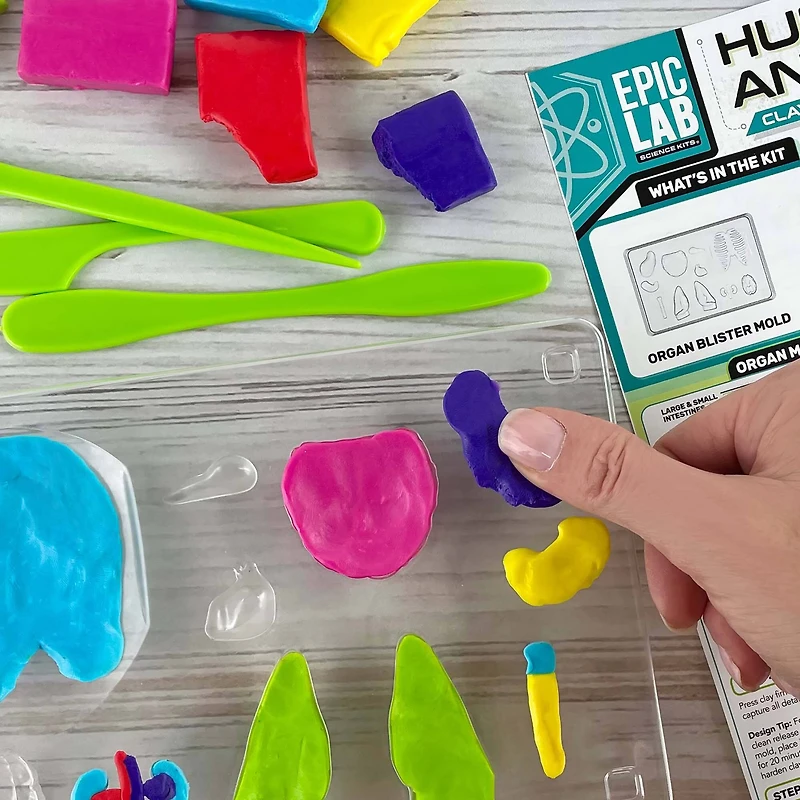 ArtSkills® Epic Lab Human Anatomy STEM Kit