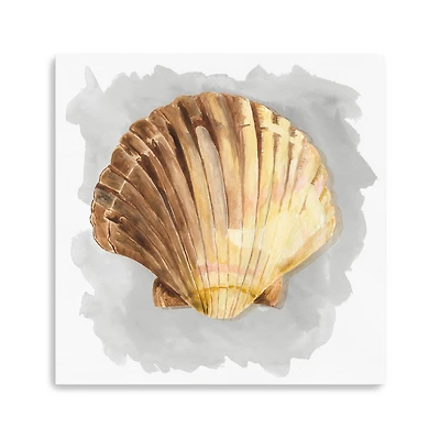 Shells On Grey V Canvas Giclee