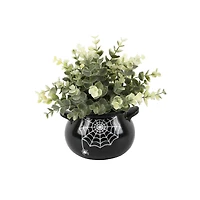Flora Bunda® Eucalyptus in Spider Web Cauldron