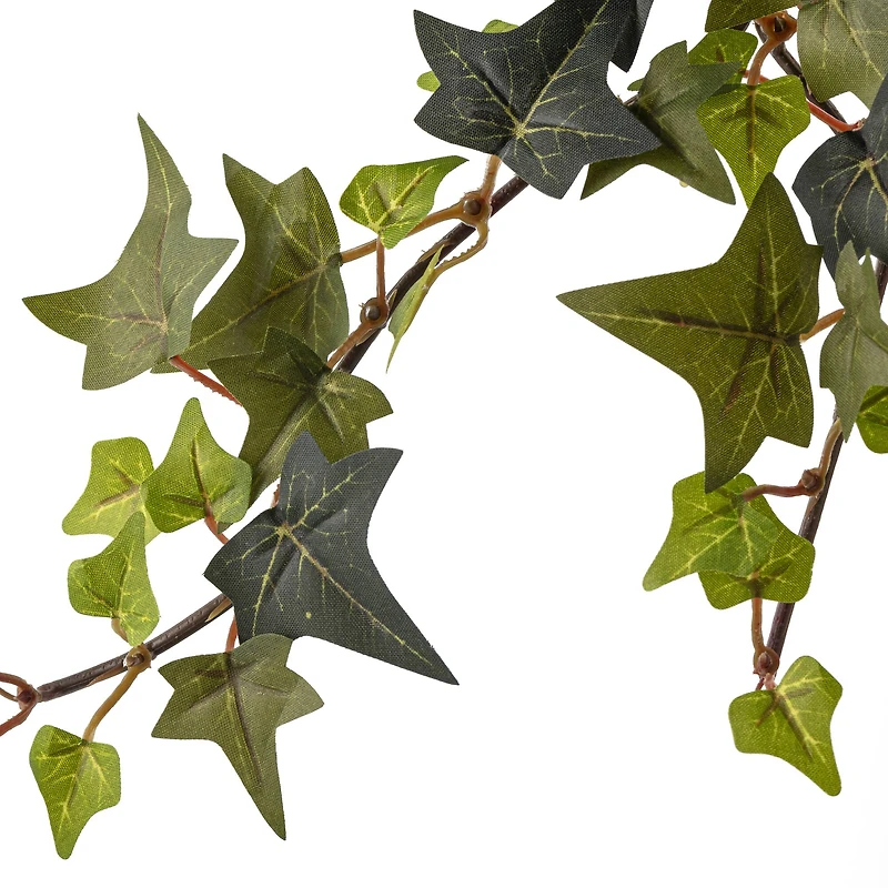 11 Pack: Star Ivy Bush by Ashland®