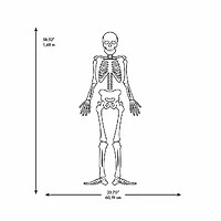 RoomMates Glow In The Dark Skeleton Peel & Stick Giant Decals