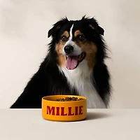 Cricut Joy Xtra™ in Lavender & Basics Bundle