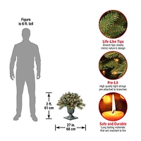 24" Glittery Bristle® Pine Porch Bush in Dark Bronze Plastic Urn with White Tipped Cones