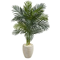 4.5ft. Golden Cane Palm Tree in Oval Planter