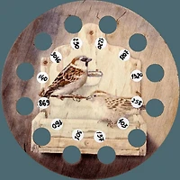 Wonderland Crafts 10mm Stickers for Embroidery Organizers