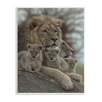 Stupell Industries King Lion Baby Cubs Wild Safari Animal Family Wall Plaque