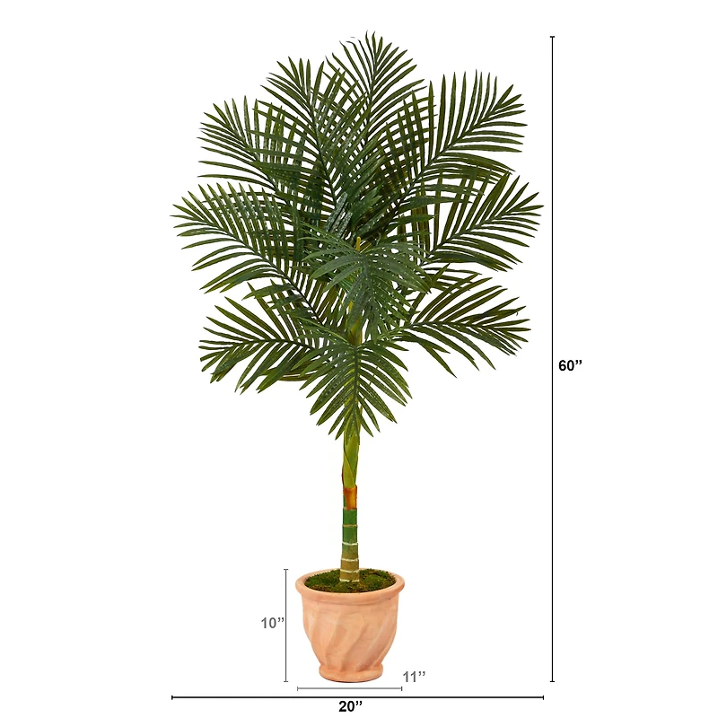 5ft. Golden Cane Palm Tree in Terra-Cotta Planter