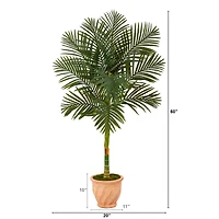 5ft. Golden Cane Palm Tree in Terra-Cotta Planter 