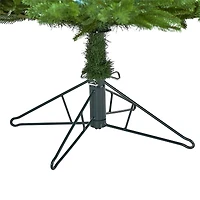 7ft. Pre-Lit Nova Scotia Fir Real Touch Artificial Christmas Tree, Warm White LED Lights