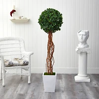 5ft. English Ivy Single Ball Artificial Topiary Tree in White Metal Planter UV Resistant (Indoor/Outdoor)