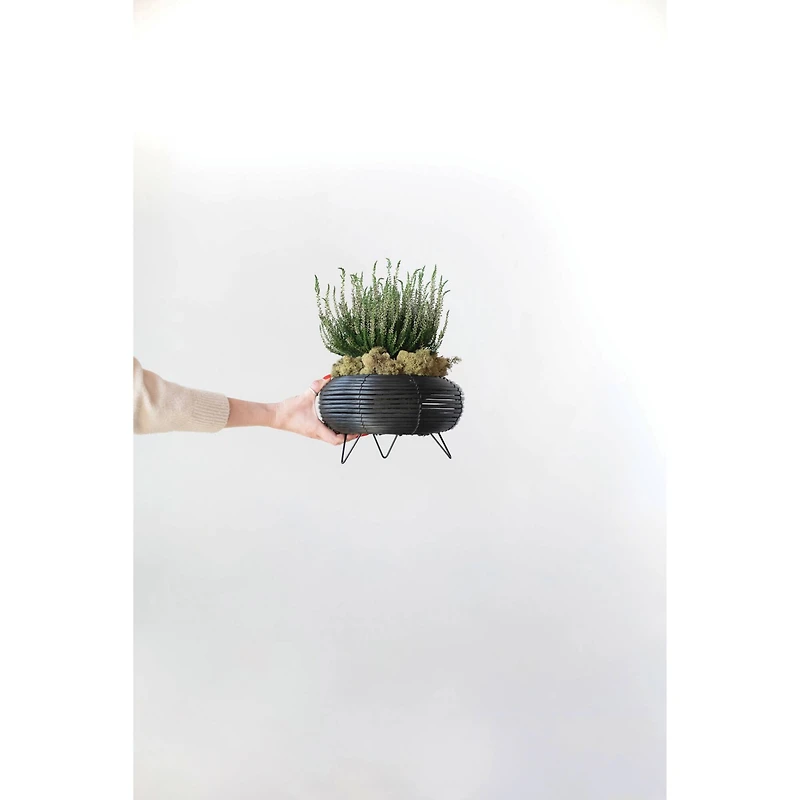 6" Black Plastic Planter with Metal Feet