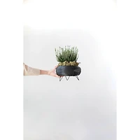 6" Black Plastic Planter with Metal Feet