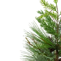 2ft. Unlit Real Touch™️ Mixed Pine & Cedar Artificial Christmas Tree in Gray Pot