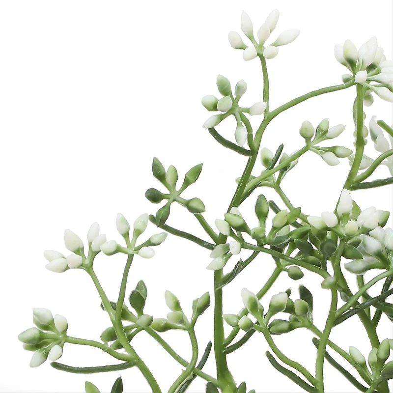 12.5" Seed Pick by Ashland