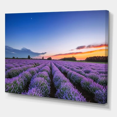 Designart - Sunrise & Dramatic Clouds Over Lavender Field I