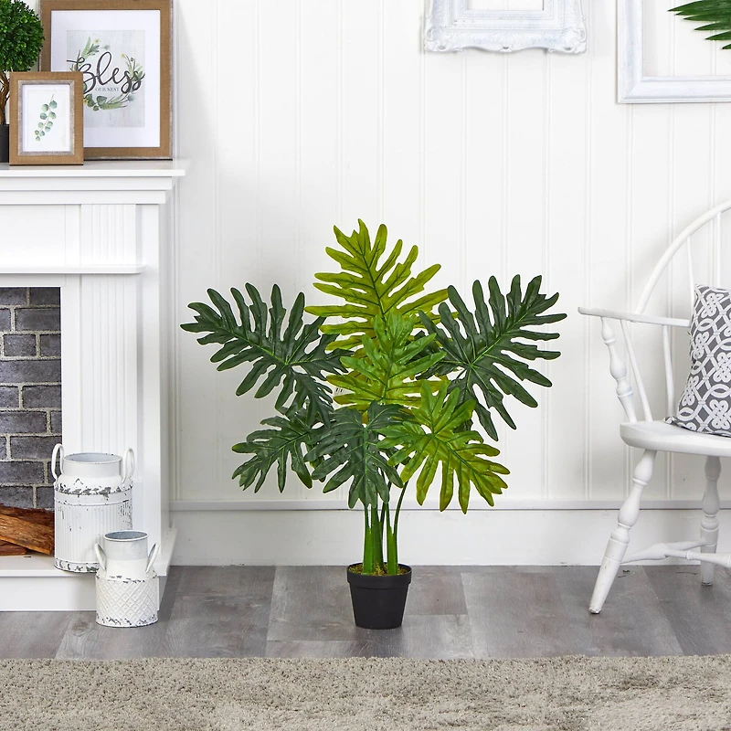 3ft. Potted Philodendron Plant