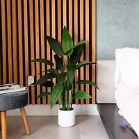 3.5ft. Sky Bird Tree in White Decorative Planter