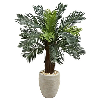 4.5ft. Cycas Tree in Oval Planter