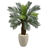 4.5ft. Cycas Tree in Oval Planter