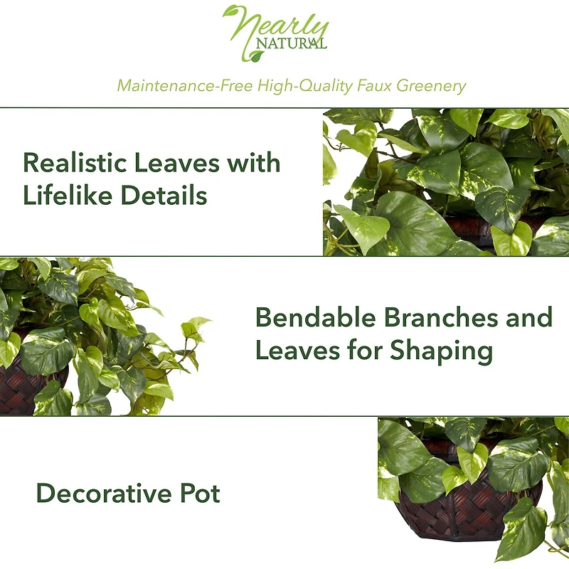 15" Potted Pothos Plant