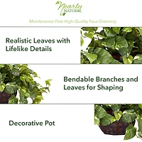 15" Potted Pothos Plant