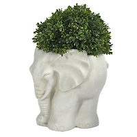 16" Boxwood Topiary Plant in Elephant Shaped Planter